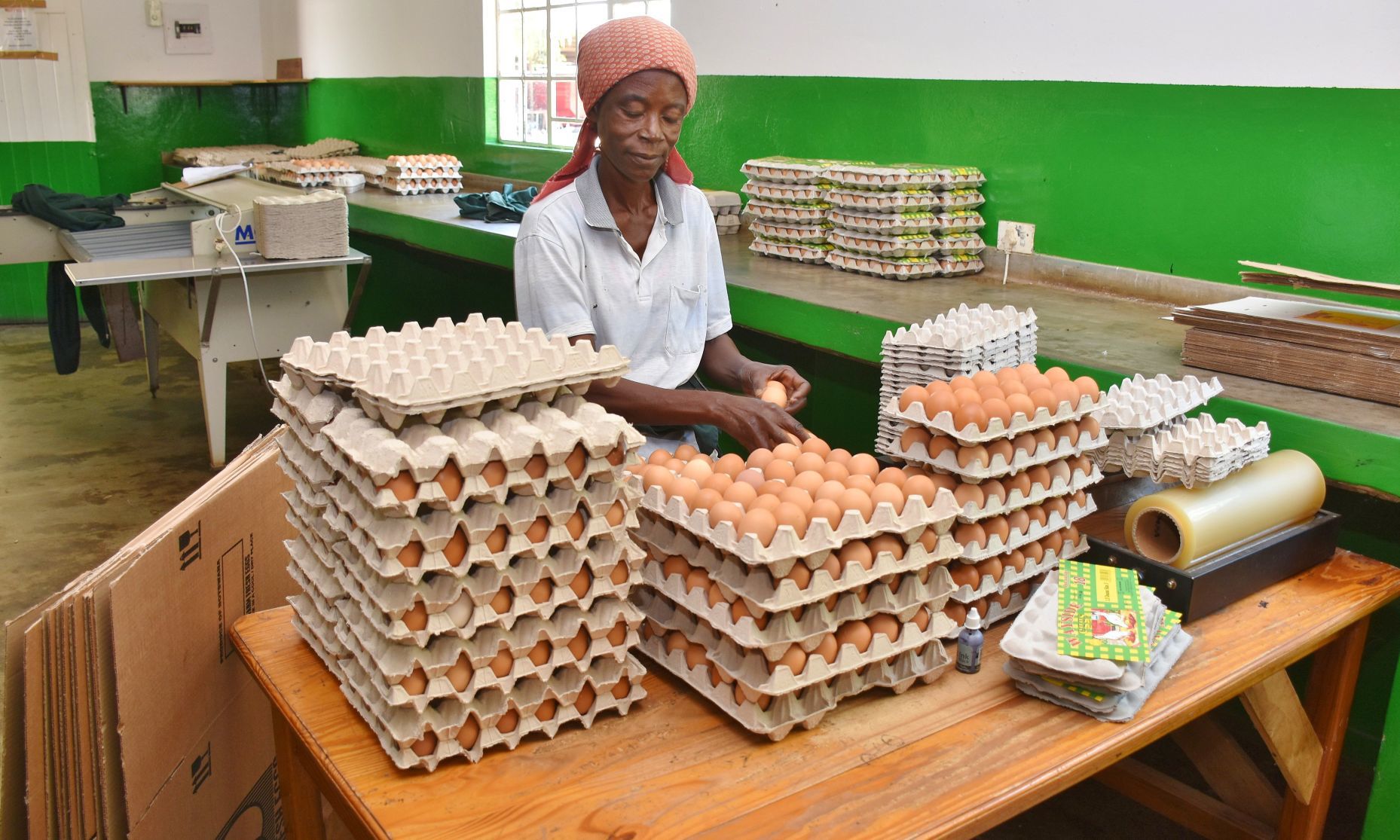 Employee packs eggs
